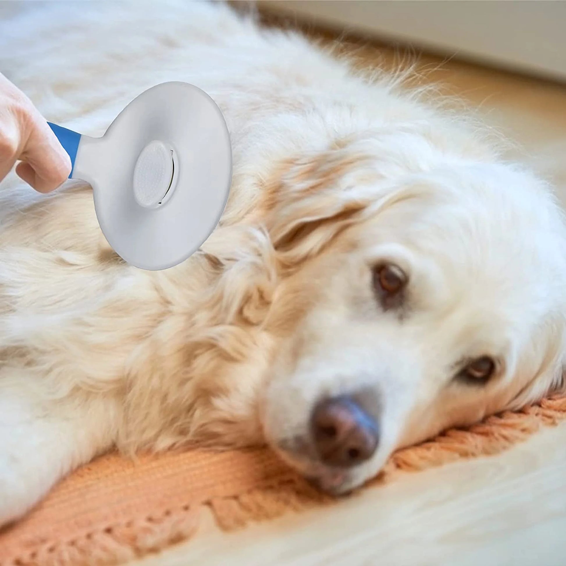Self-Cleaning Deshedding Tool for Cats and Dogs - Effective Undercoat and Mat Removal for All Hair Lengths
