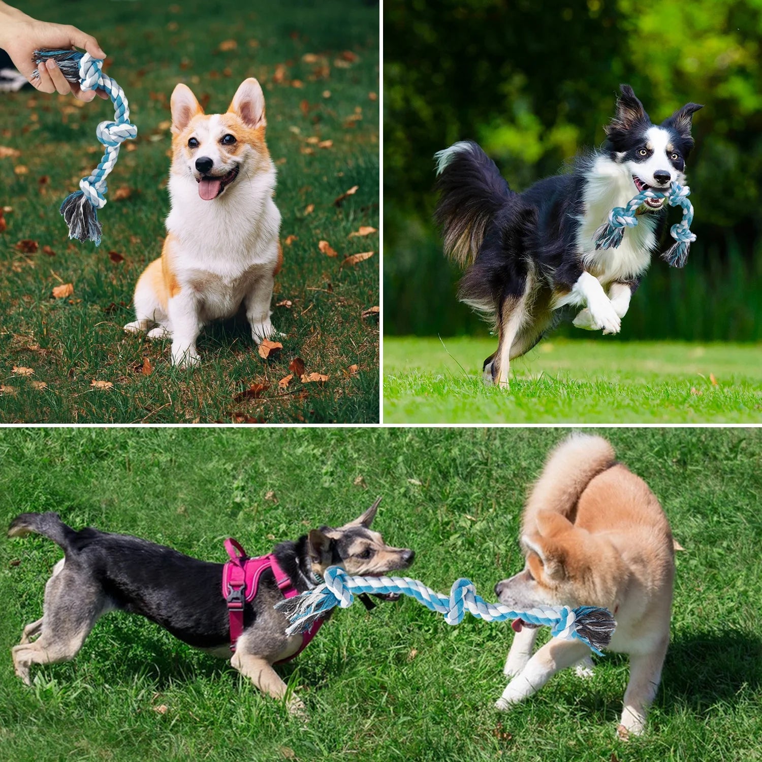  3 Knots Durable Braided Cotton Pet Chew Rope Toys for Dogs And Cats